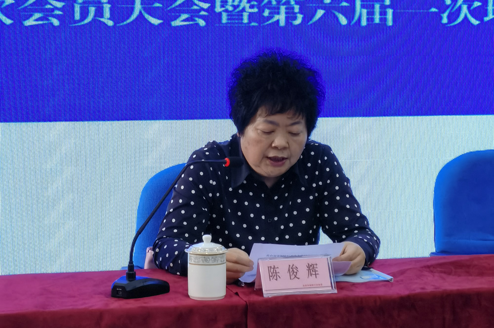 协会成功换届：自贡银保监分局调研员陈俊辉发表讲话